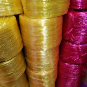 116070361 333263097718290 835030032747181388 N