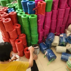 269942649 973456313254598 5599713750242495164 N