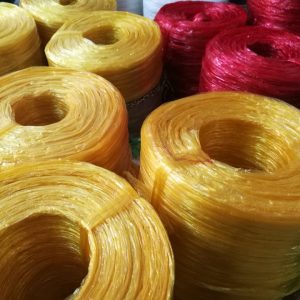 105383006 700052057510955 8890403591935521161 N