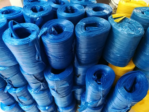 89625767 536823420276071 6053731978232987648 N (1)