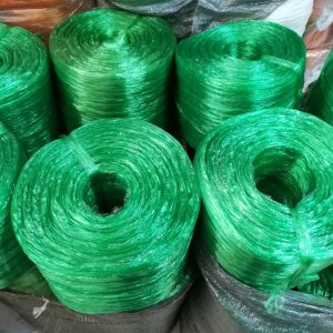 76647927 1657606691030826 2379627789989969920 N