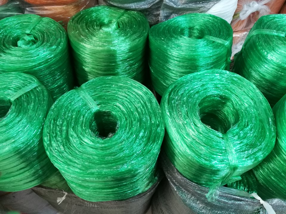 76647927 1657606691030826 2379627789989969920 N