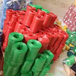 267396853 318661873467289 429005519948360685 N