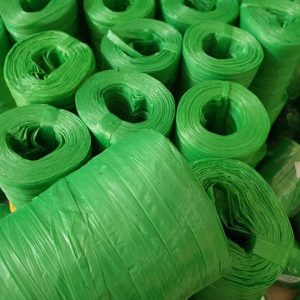 272113007 2795045254122664 2781507705567470015 N