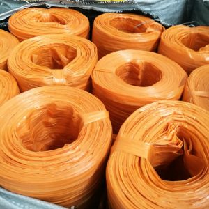 74491002 566044684131624 4246685279408095232 N