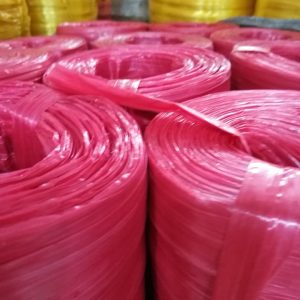 75380320 798150457310407 996618294561603584 N