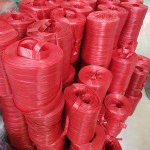 178133884 443356416760821 8203109988401175620 N