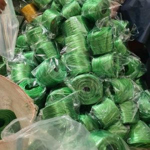 269972576 1617248678612350 7467424966728858718 N