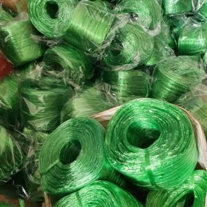 271050333 1072981503495446 5988359171141295705 N (1)