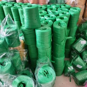 271941690 297220449108528 8419423625330957298 N