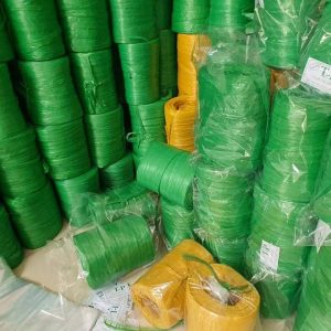 271985535 650558329315467 3868594600681486939 N