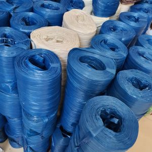 273699391 654356545805386 8496674548897458338 N