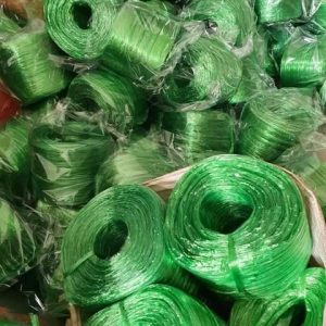 287703726 573921540830895 5346789313780084018 N