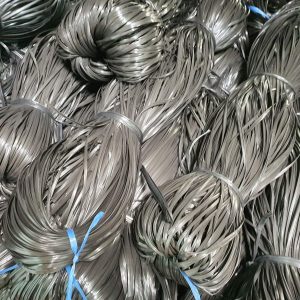 289762427 1061444471417042 8741371268878032649 N