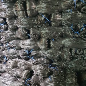 289899686 332749812376933 363487928446668522 N (1)